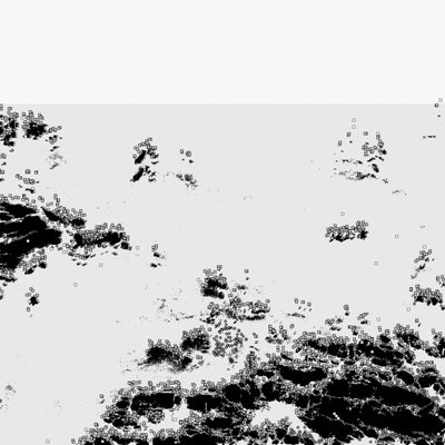 The Black Sea