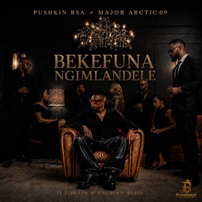 BEKEFUNA NGIMLANDELE  (feat. Lokzin Keys & Passion Redd)