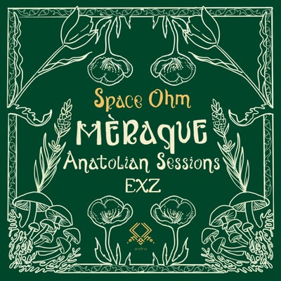 Space Ohm