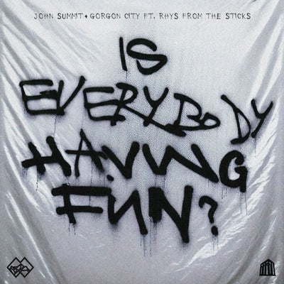 Is Everybody Having Fun? feat. rhys from the sticks