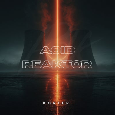 Acid Reaktor