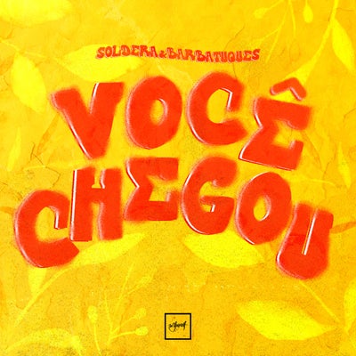 Voc&#234; Chegou