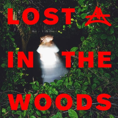 Lost In The Woods