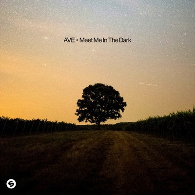 Meet Me In The Dark (Extended Mix)