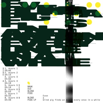 Even a Blind Pig Finds an Acorn Every Once in a While