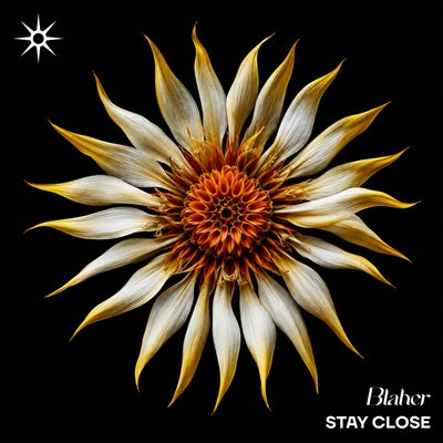 Stay Close