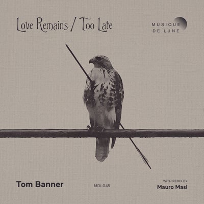 Love Remains / Too Late