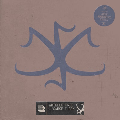 'Cause I Can (+Jeff Sorkowitz Remix)