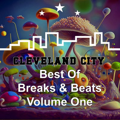 Best of Breaks & Beats - Volume One
