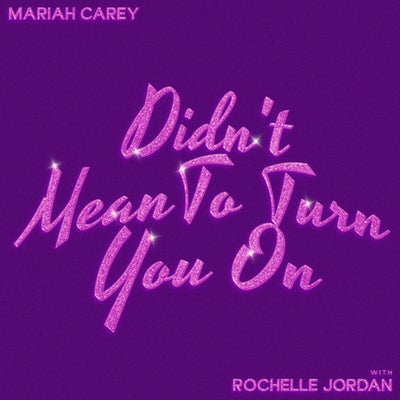 Didn't Mean To Turn You On (with Rochelle Jordan)