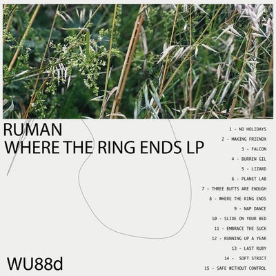 Where The Ring Ends LP - LP