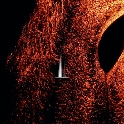 Rise Up (Extended Mix)