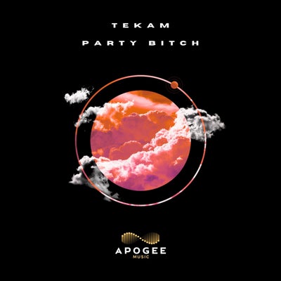 Party Bitch