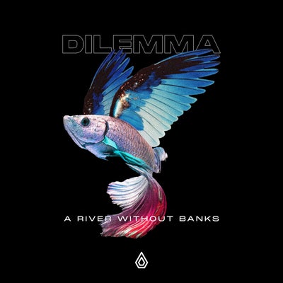 A River Without Banks