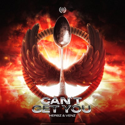 Can't Get You