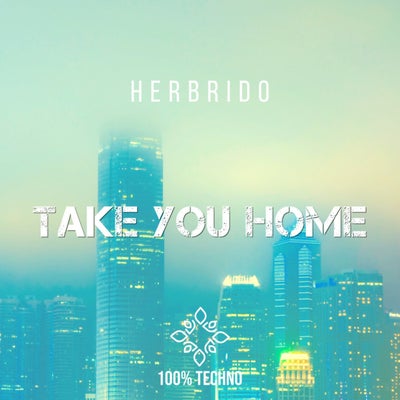 Take You Home