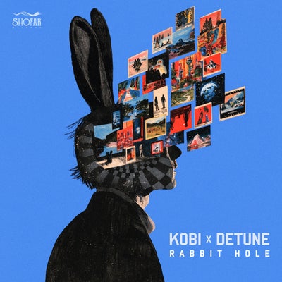 Rabbit Hole