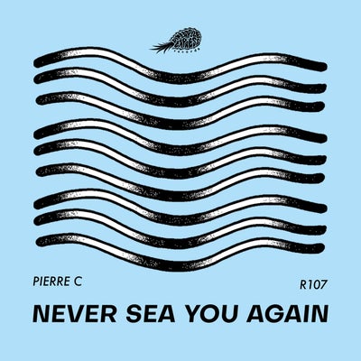Never Sea You Again