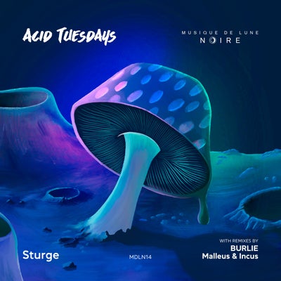 Acid Tuesdays
