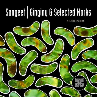Ginginy & Selected Worx