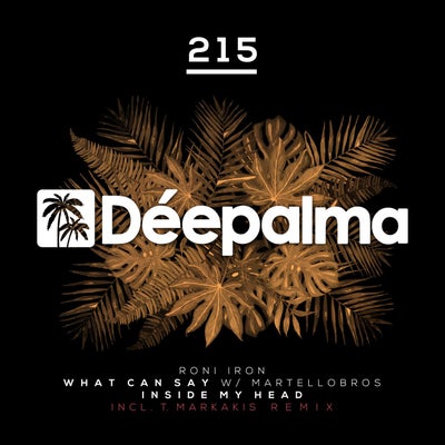 What Can I Say / Inside My Head (Incl. T.Markakis Remix)