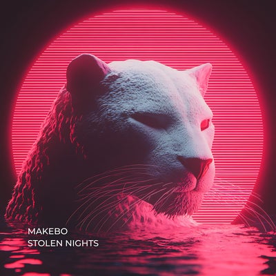 Stolen Nights 