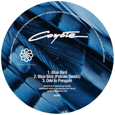 Blue Bird / Ode To Penguin