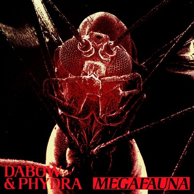 Megafauna