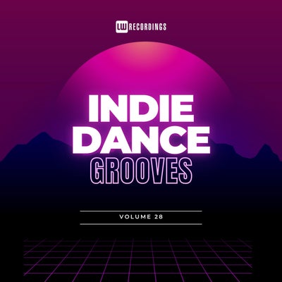 Indie Dance Grooves, Vol. 28