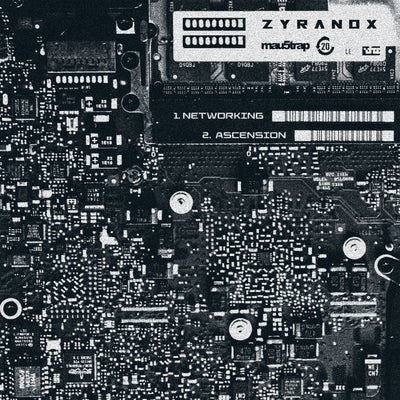 ASCENSION / NETWORKING (Extended)
