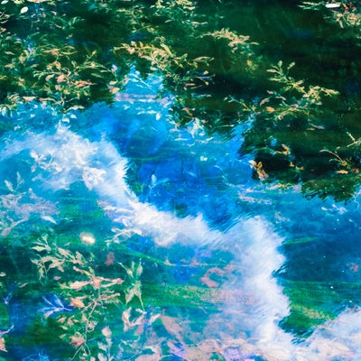 Daydream