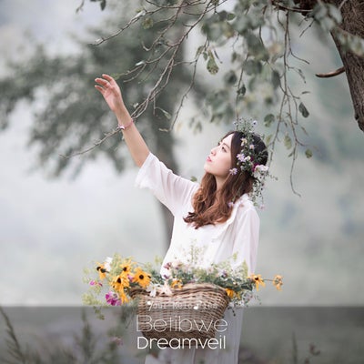Dreamveil