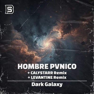 Dark Galaxy
