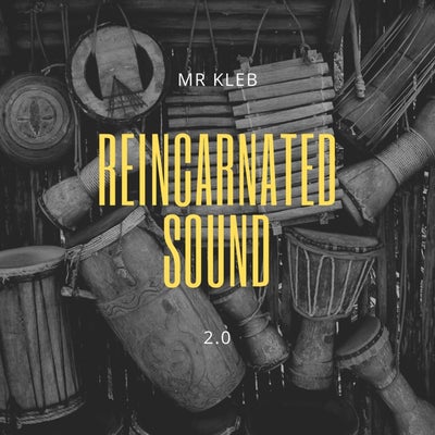 Reincarnated Sound 2.0