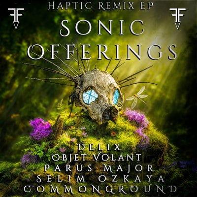 Sonic Offerings