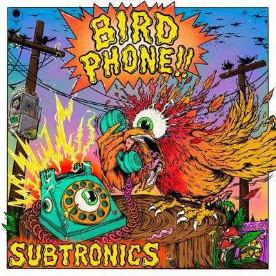 Bird Phone