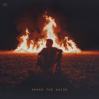 Among The Noise
