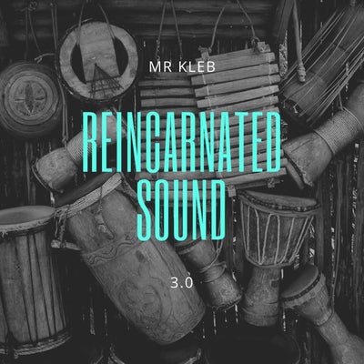 Reincarnated Sound 3.0