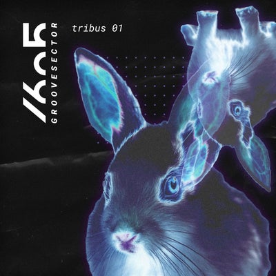 Tribus 01