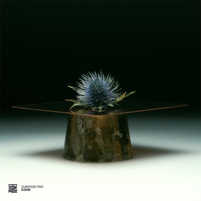 Curation Two: D.Dan