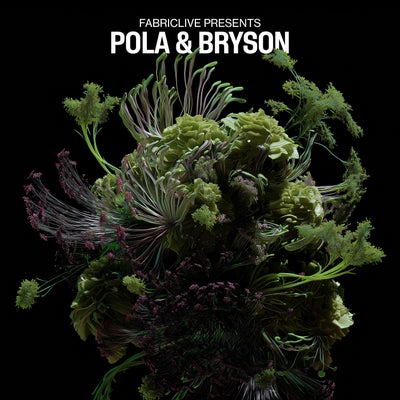 FABRICLIVE presents Pola & Bryson