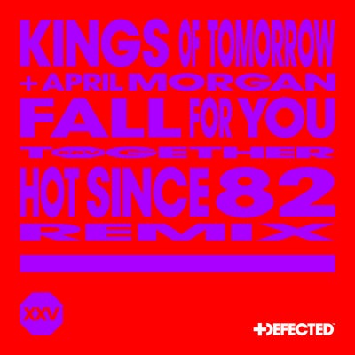 Fall For You - Hot Since 82 Extended Remix