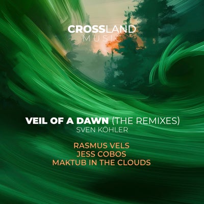 Veil of a Dawn (The Remixes)