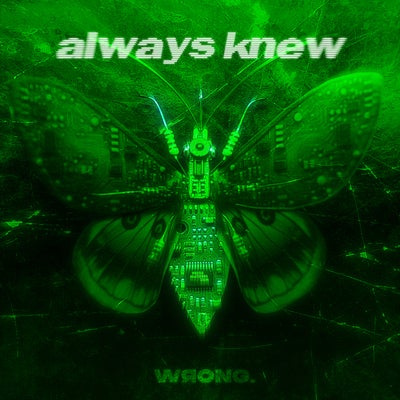 always knew (Extended Mix)