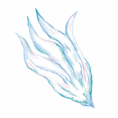 Growing Roots