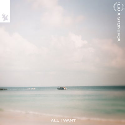 All I Want