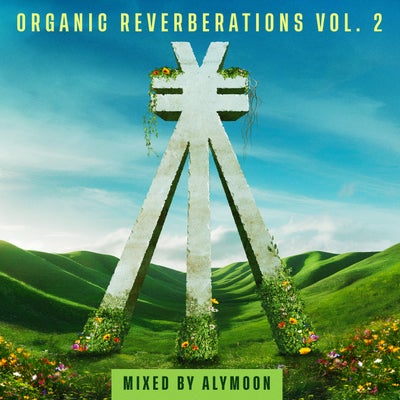 Organic Reverberations, Vol. 2
