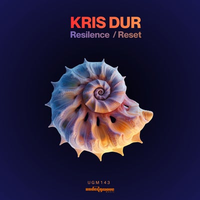 Resilence / Reset