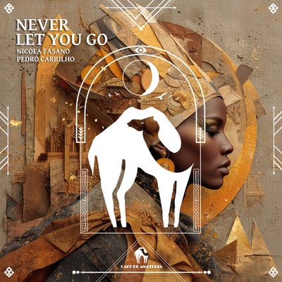 Never Let You Go