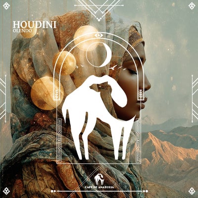 Houdini
